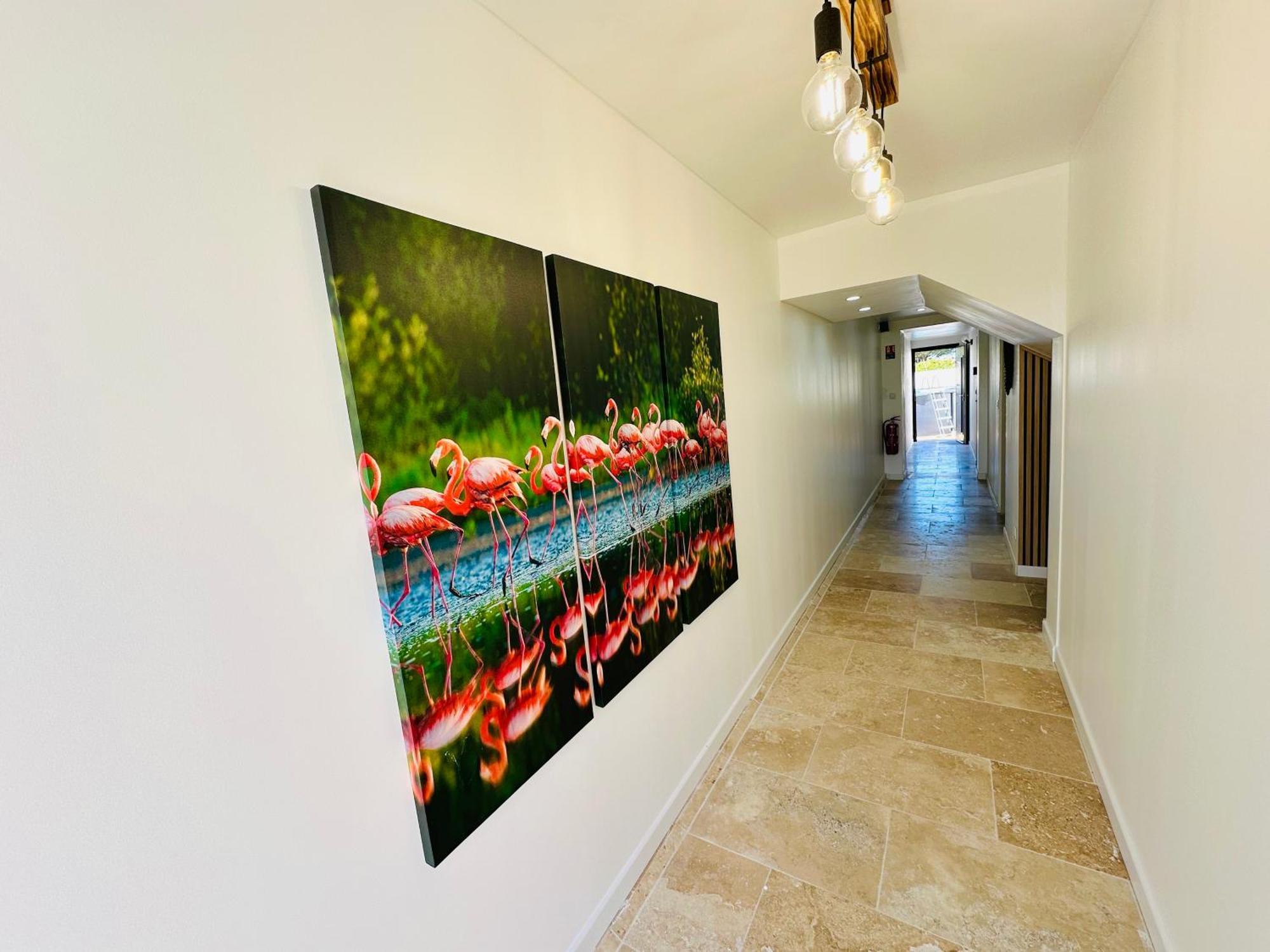 Les Appartements Du Mas - Rose Marie エーグ・モルト エクステリア 写真